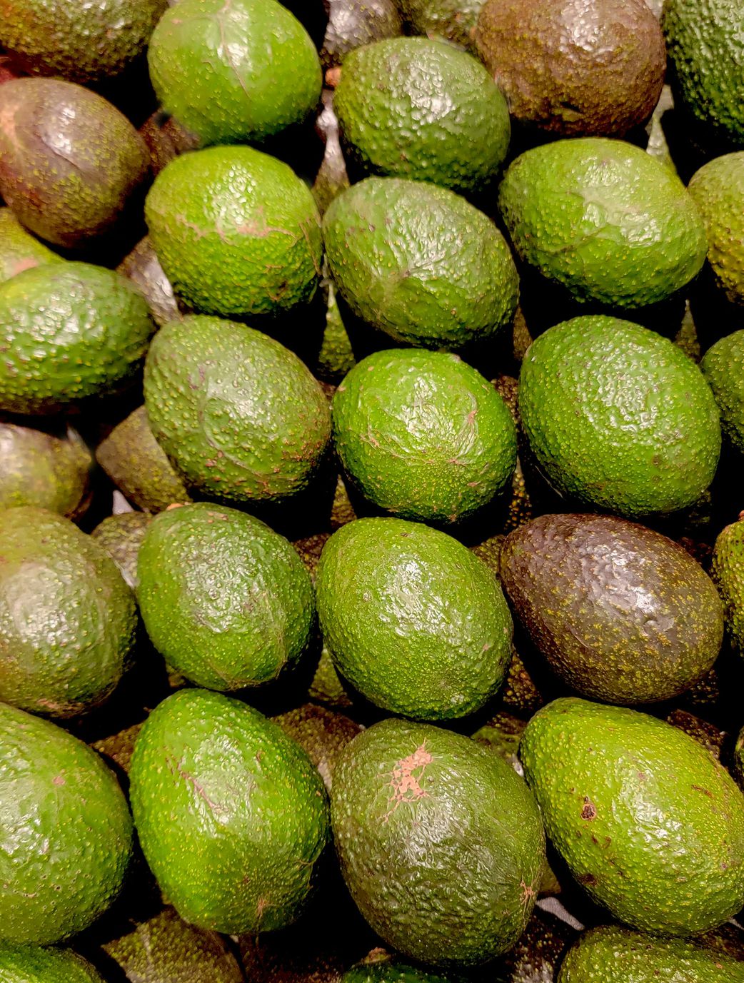 Choose the right avocado