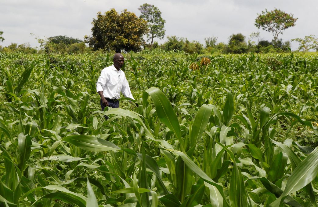 Reality of Kenya’s employment landscape in 2025 and opportunities available