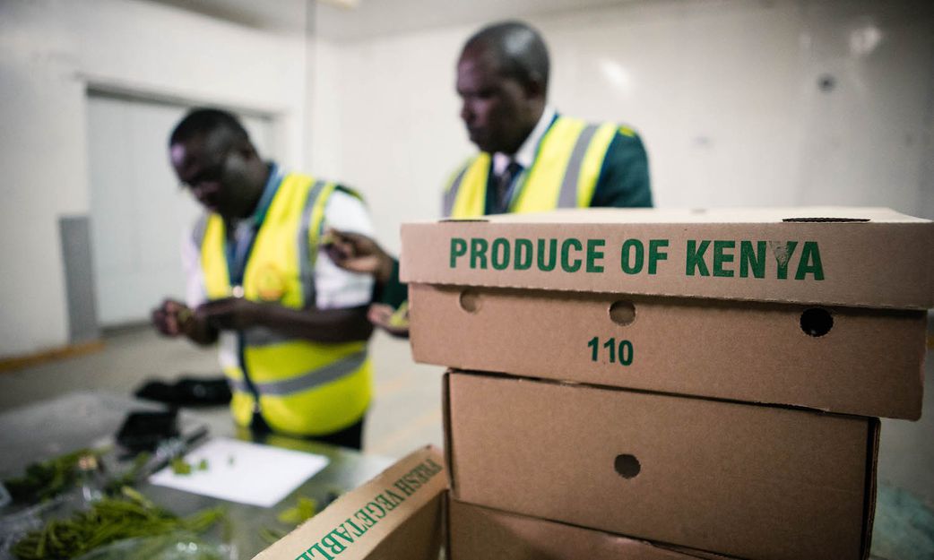Kenya's horticultural goods ready for export