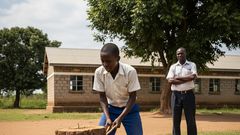 An AI-generated image of a student uprooting a tree stump