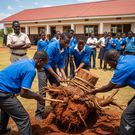 Students uprooting a tree stump
