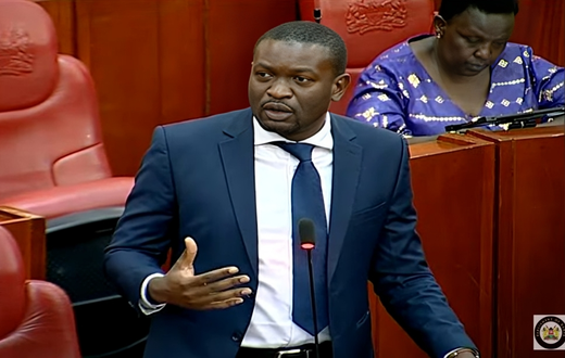 Senator Edwin Sifuna speaking in the Senate