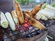 Secrets street food vendors use to keep Nairobians craving for more