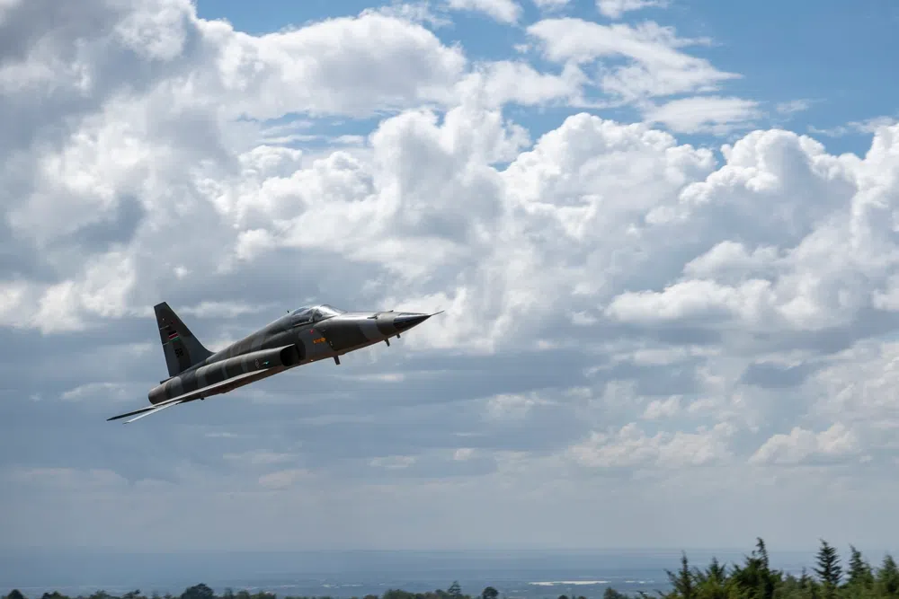 Kenya's fighter fleet is the Northrop F-5E/F Tiger II.