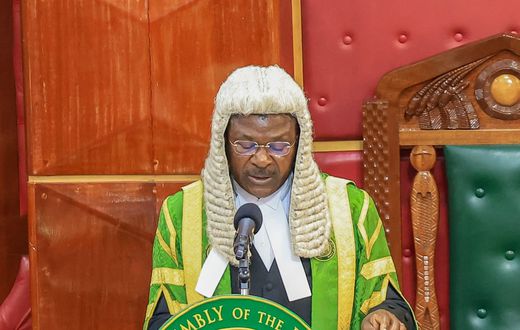 National Assembly Speaker Moses Wetangula