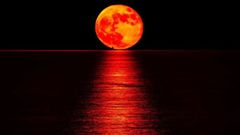 A lunar eclipse at night