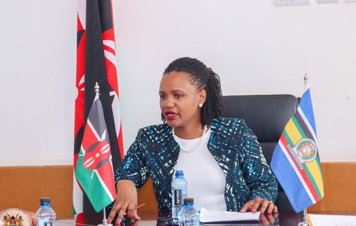 Roseline Kathure Njogu – the Principal Secretary, State Department for Diaspora Affairs