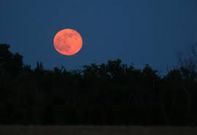 Full 'Strawberry Moon' to grace the sky next week: What’s special & when to see it