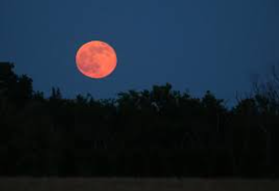 Full 'Strawberry Moon' to grace the sky next week: What’s special & when to see it
