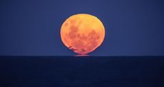 Full strawberry moon seen in the horizon in Narrawallee Beach in New South Wales, Australia on June 6, 2020 (Courtesy)