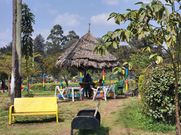 Kamukunji grounds