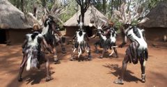 Bomas of Kenya:  Inside the iconic national heritage