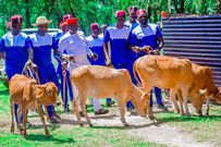 4 stages that seal a Luo marriage: Tradition, culture, and ceremony