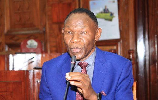 Prof Bitange Ndemo
