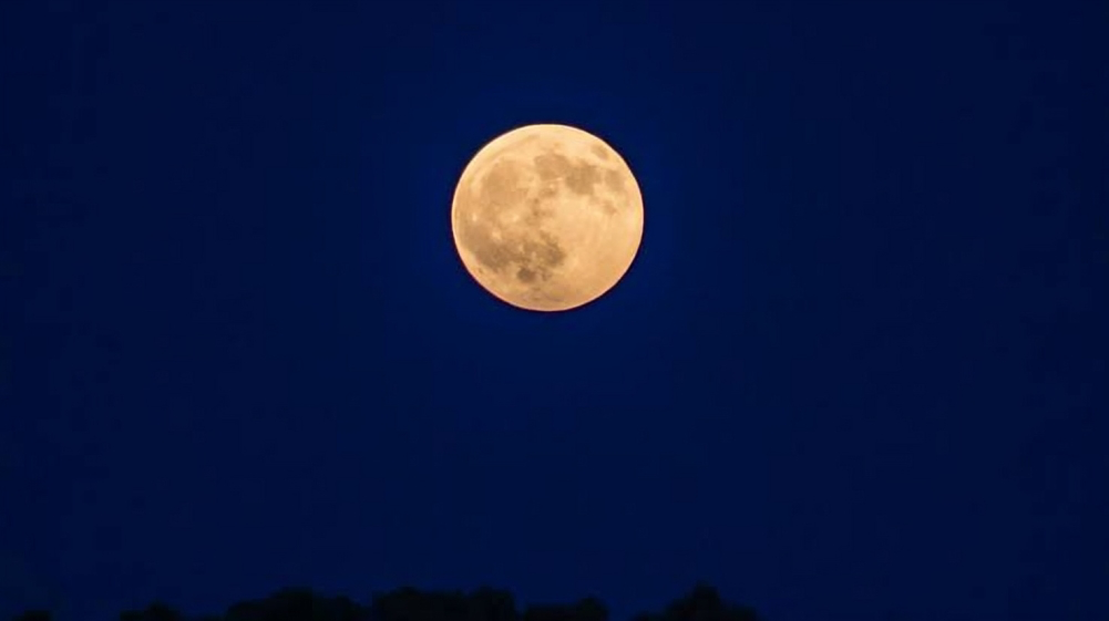 Buck Moon
