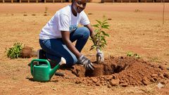 An AI-generated image of a woman planting trees