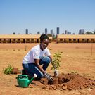An AI-generated image of a woman planting trees