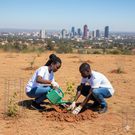 An AI-generated image of a young people planting trees
