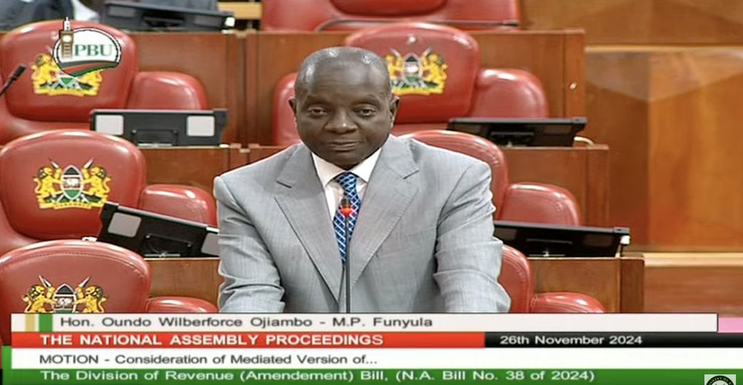 Funyula MP Wilberforce Oundo Ojiambo speaking in the National Assembly