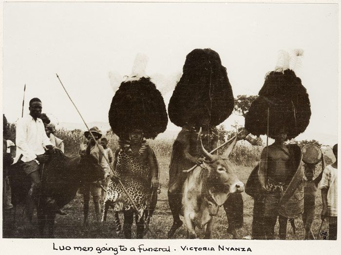 4 stages that seal a Luo marriage: Tradition, culture, and ceremony
