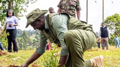 President William Ruto planting a tree