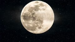 ‘Buck Moon’ in 2025