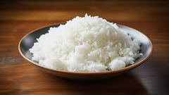 Rice on a plate