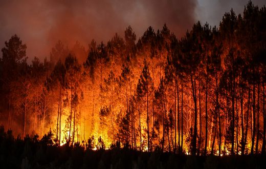 A wildfire