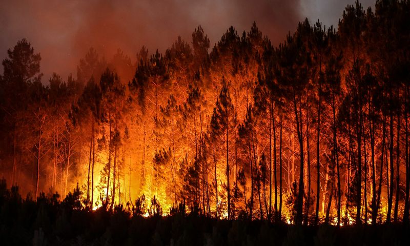 A wildfire