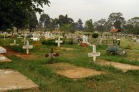 Lang'ata cemetery