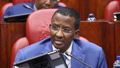 IPOA Chairperson Ahmed Issack Hassan before  the National Assembly Administration and Internal Security Committee