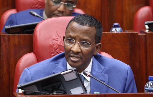 IPOA Chairperson Ahmed Issack Hassan before  the National Assembly Administration and Internal Security Committee