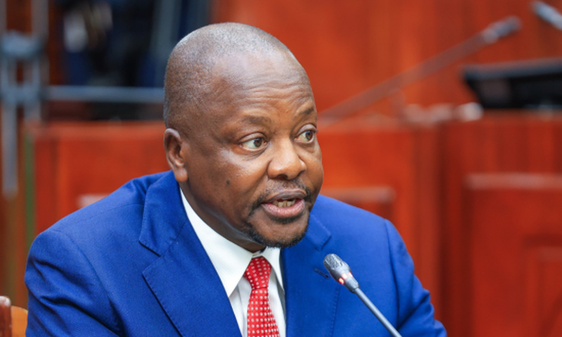Mutahi Kagwe undergoes vetting in the National Assembly for the position of Agriculture CS