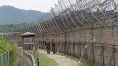 The Korean DMZ border fence