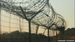 The Botswana-Zimbabwe electric fence