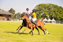 Davis Cup polo match