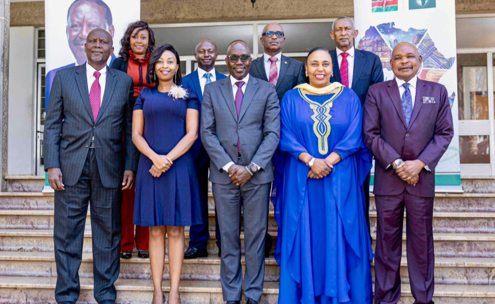 The nine-member team that led Raila Odinga's campaigns for the AUC chairperson