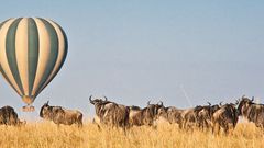 The Maasai Mara