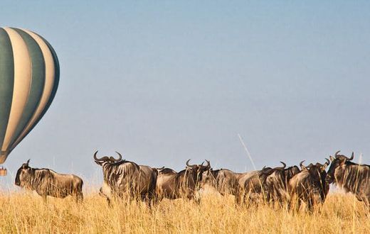 The Maasai Mara