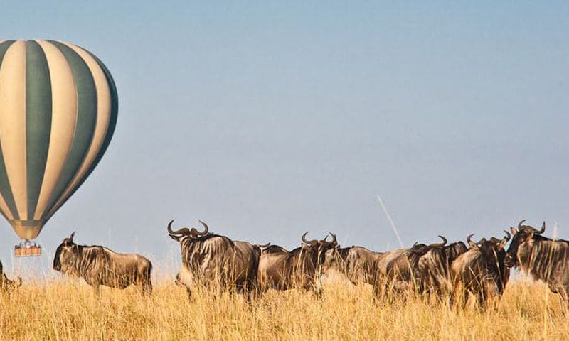 The Maasai Mara