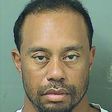 Former golf world number one Tiger Woods, seen here in this booking photo from his May 29 arrest, pleaded not guilty to driving under the influence