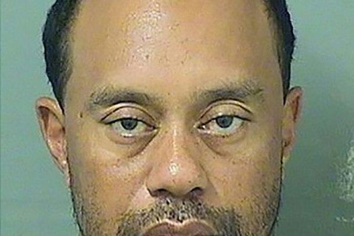 Former golf world number one Tiger Woods, seen here in this booking photo from his May 29 arrest, pleaded not guilty to driving under the influence