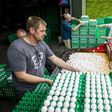 Some 10 billion eggs were produced in the country last year by about 1,000 poultry farms, with many of them going across the border into Germany