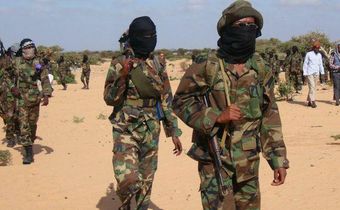 Al-Shabaab militants.