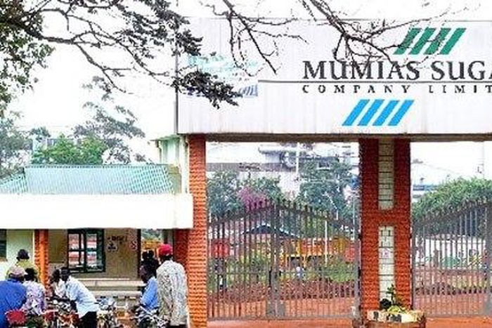 ___6796419___https:______static.pulse.com.gh___webservice___escenic___binary___6796419___2017___6___7___10___Mumias+image