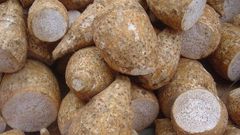 ___9154258___2018___11___30___15___arrowroots