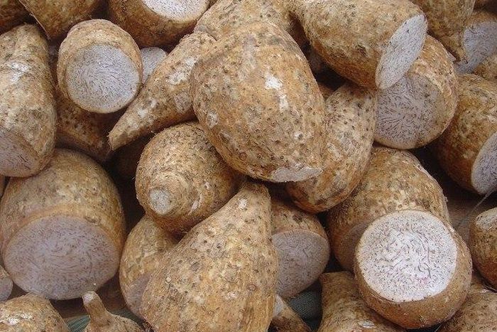 ___9154258___2018___11___30___15___arrowroots