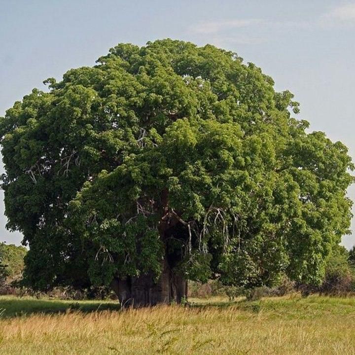 ___9083364___2018___11___8___9___3HaJVvr6qfoEFgBir1jy4DeK1wwhDm7oNHzc1b8roaJY8MKXJXfcKerS292CKPT6VJuGVLvpAyWoHvgR3n4ecQNNuGiARVkiHzKy68W