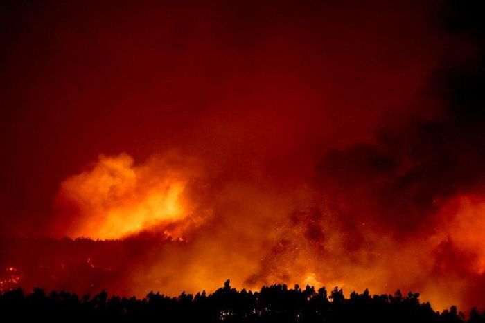 A wildfire burns in the forest surrounding Macao, central Portugal, on July 26, 2017