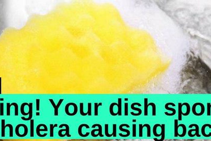 ___7088266___https:______static.pulse.com.gh___webservice___escenic___binary___7088266___2017___8___3___10___sponge+a